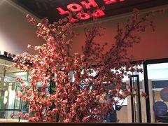 -海银海记潮汕牛肉火锅(华润万象城店)