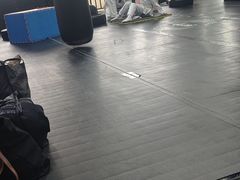 -金翼跆拳道巴西柔术拳击格斗学院