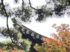 -太湖饭店·寄畅轩中餐厅