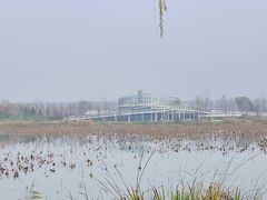 -灞河西岸滨河公园