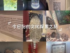 -广东中医药博物馆