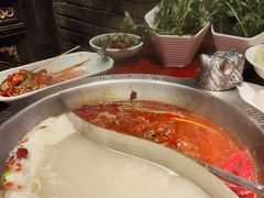 -袁老四重庆老火锅(桐梓坡店)