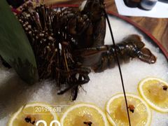 -石葵(锦业时代店)