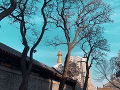 -护国法轮寺