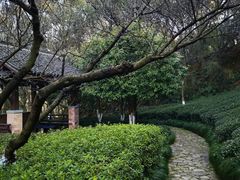 -杭州半山国家森林公园