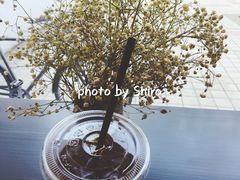冰美式-麻雀咖啡SPARROW COFFEE(十全街店)