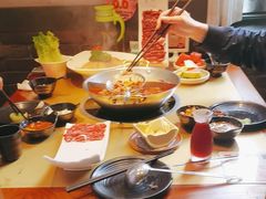 -手选潮汕鲜牛肉火锅(二七广场店)