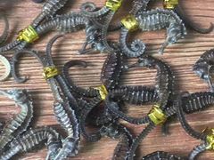 -威海渔村(静安旗舰店)