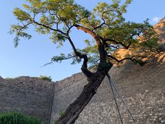 -北京明城墙遗址公园