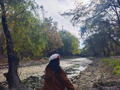 -长白岛森林公园