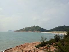 -广东惠东海龟国家级自然保护区