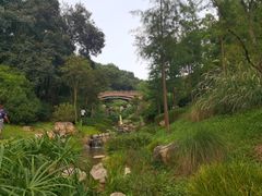 -云溪植物园