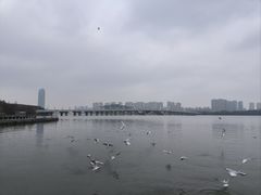 -蠡湖大桥公园