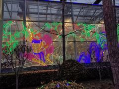 -南宫五洲植物乐园