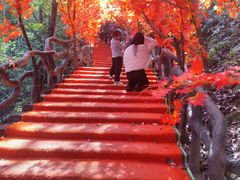 -石燕湖生态旅游景区