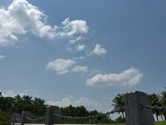 -福田红树林生态公园