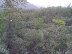 android_upload_pic-封龙山风景区