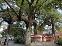 -新安江山水画廊风景区