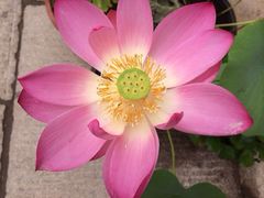 iphone_upload_pic-龙泉寺