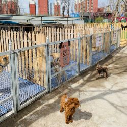 -萌宠亲子动物乐园(槐房万达店)