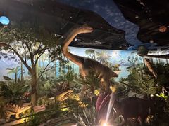 -陕西自然博物馆