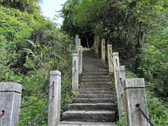 -水濂山森林公园