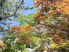 -崂山巨峰游览区