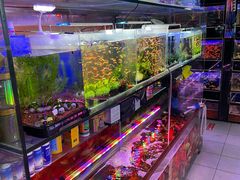 -双季花艺园艺市场(浦东店)