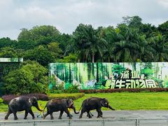 -深圳野生动物园