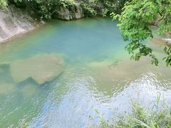 -广州白江湖森林公园