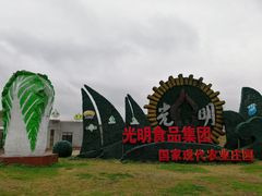 -上海都市菜园