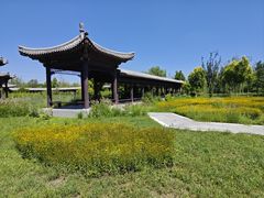 -水西公园