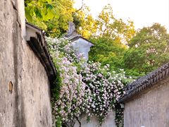 -惠山古镇·寄畅园