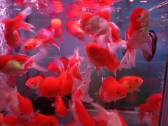 -海口骑楼小吃街