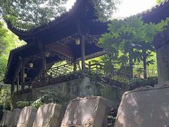 -十八棵（老龙井）御茶园(老龙井店)