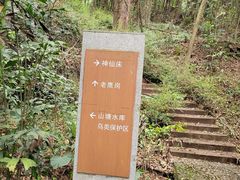 -滴水岩森林公园