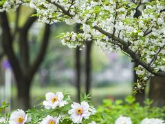 -江南大学(蠡湖校区)