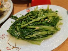 惠来农家通心菜炒豆蚌酱-抱德·潮汕味(敦和店原惠城鱼仔)
