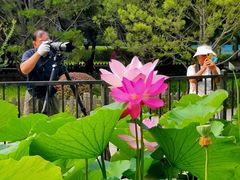 -莲花池公园