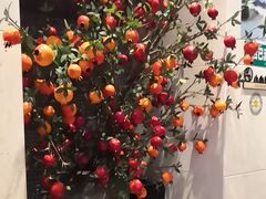 -诺筵汤品·菌汤火锅(南河坝店)