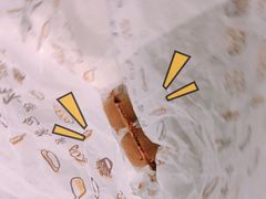 -阿叔鸡蛋仔(燎原路店)