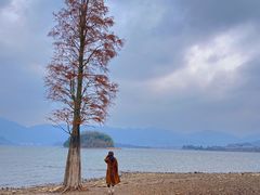 -四明山国家森林公园