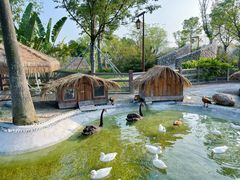 -珠海海泉湾神秘岛亲子乐园