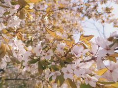 -山东师范大学(千佛山校区)