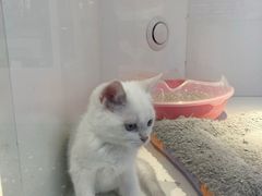 -龟与熊猫宠物公园(南坪店)