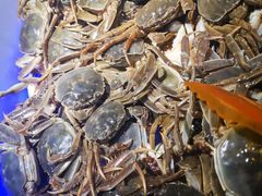 -海天牧场(银川商城店)