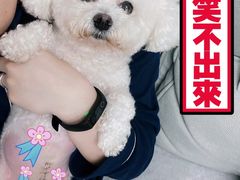 -哆趣宠物医院·眼科·内镜·急重症转诊中心(上海店)