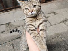 -瑞鹏·疫苗·绝育·宠物医院(广九店)