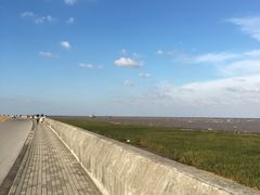 -南汇嘴观海公园