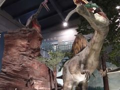 -湖南省地质博物馆